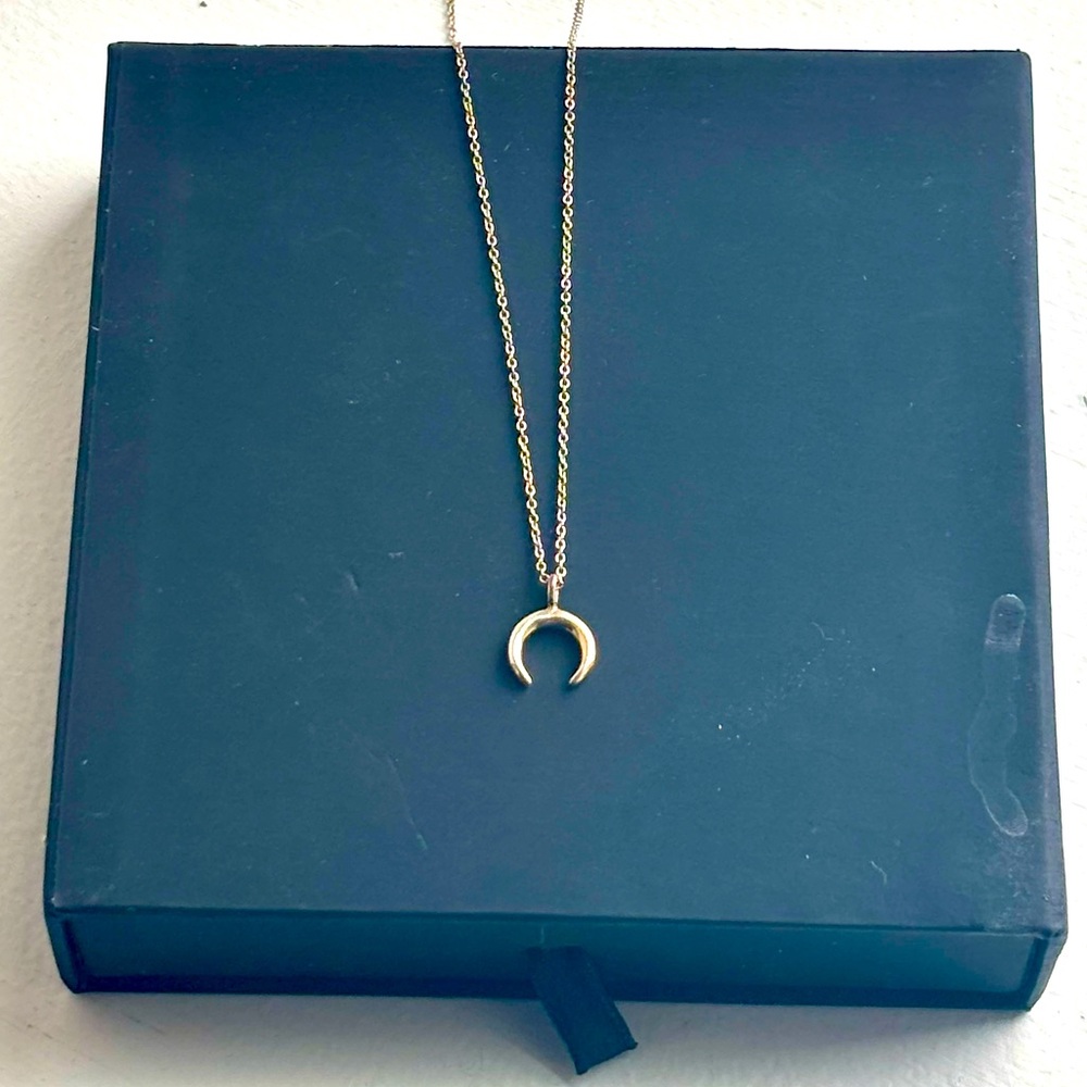 Silver Crescent Moon Necklace